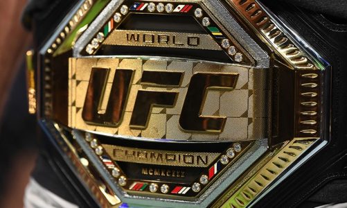 UFC and Dapper Labs offer crypto collectibles of MMA fighters